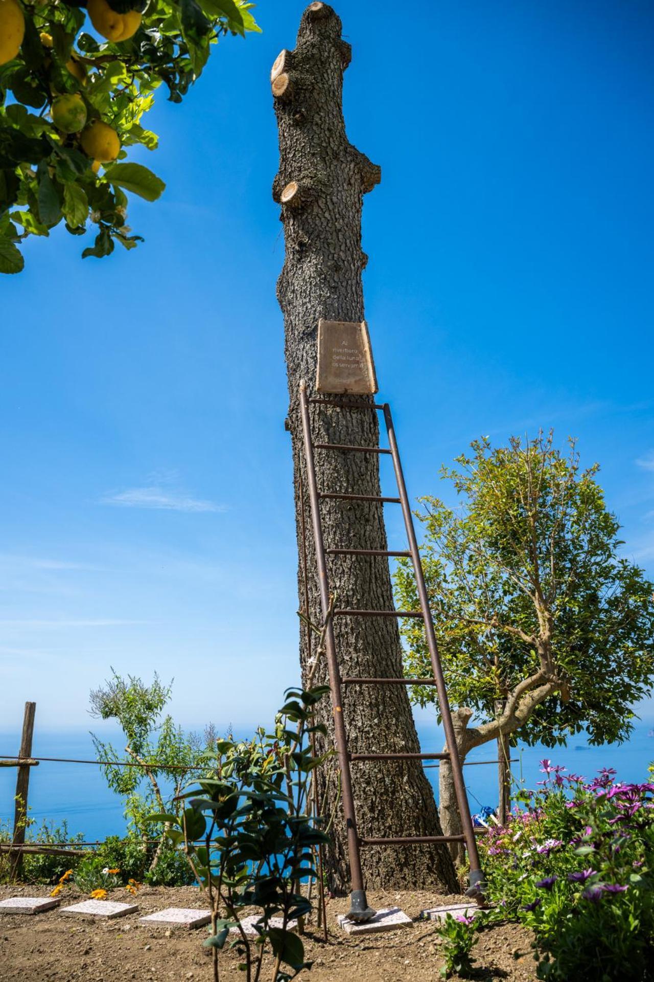 Dimora Giuela Hotel Positano Ngoại thất bức ảnh